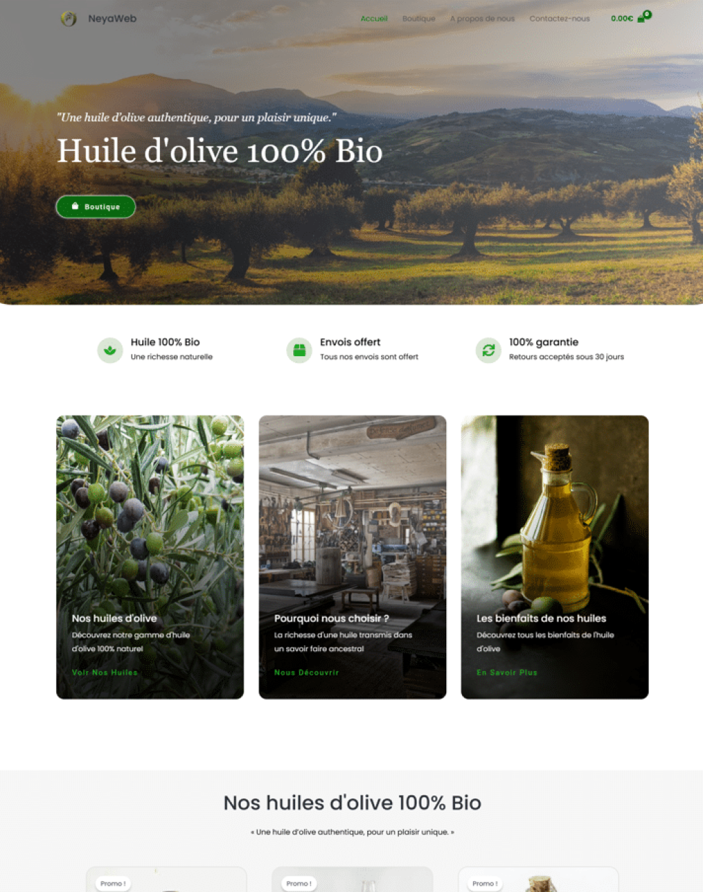 Ecommerce site Demo