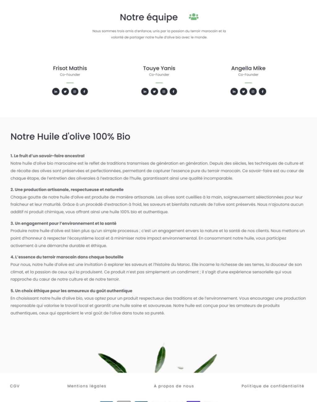 Ecommerce site Demo